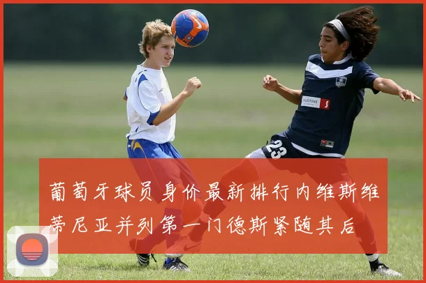 葡萄牙球员身价最新排行内维斯维蒂尼亚并列第一门德斯紧随其后