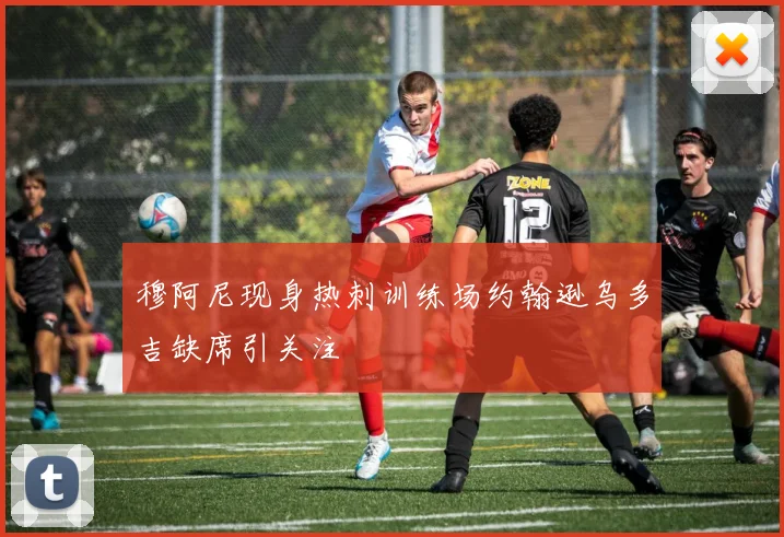 穆阿尼现身热刺训练场约翰逊乌多吉缺席引关注